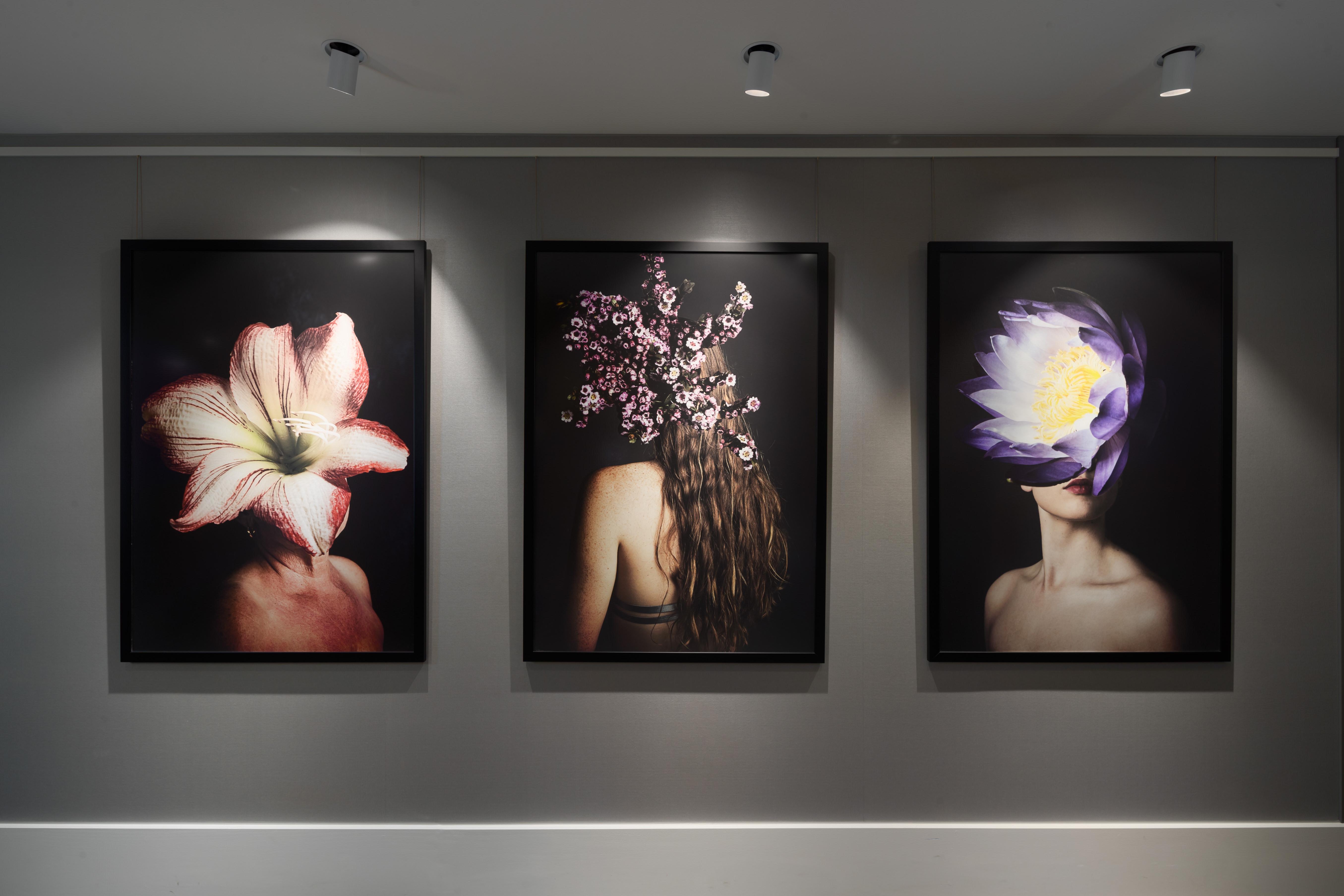 Crystalbrook Bailey Hotel Cairns Eksteriør billede The Flower Series